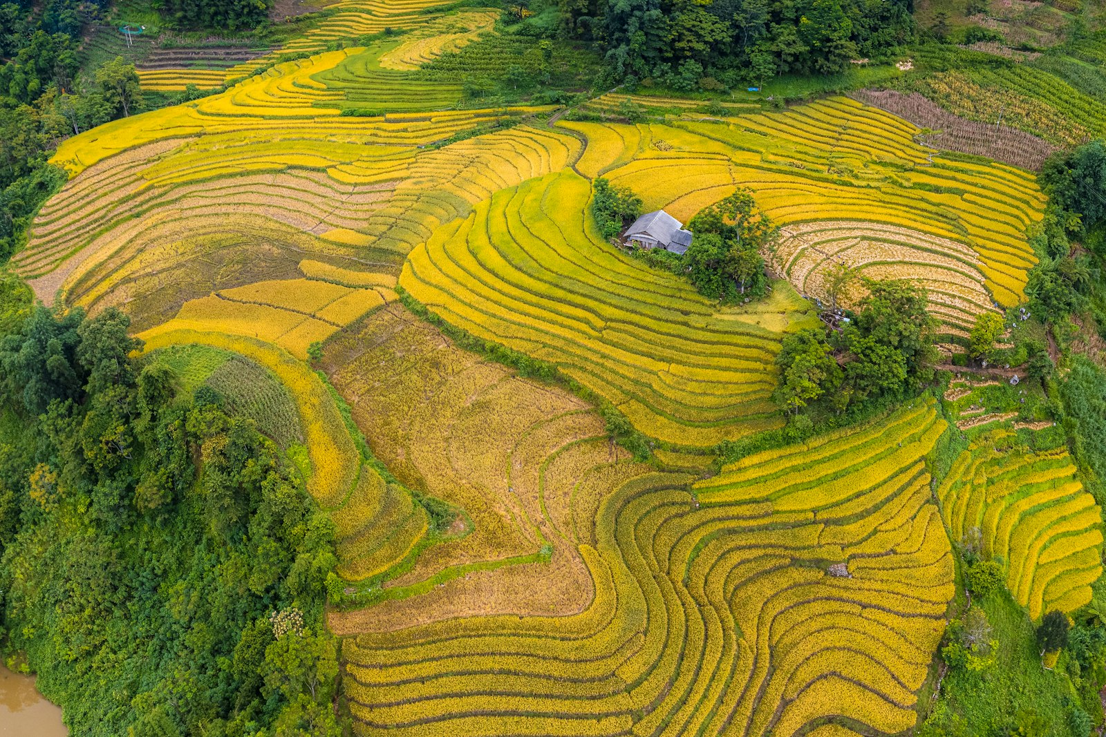 Ruộng bậc thang Sapa